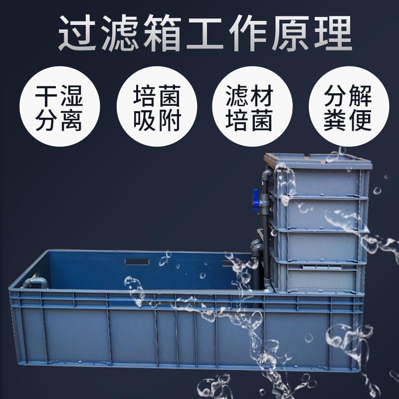 乌龟缸塑料养鱼箱养龟缸客厅小型乌龟养殖箱大号水族缸养龟专用
