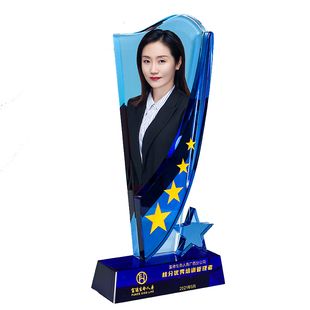 团队人像水晶奖杯定制创意优秀员工年会表彰颁奖照片定制荣誉奖杯