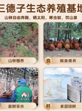三德子618专享4只土鸡分量雪山草鸡2只+清蒸鸡+懒人鸡块散养鸡
