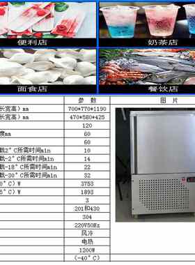 手工冰棒机商用卡通雪糕机小型速冻柜-40度低温速冻海鲜水饺速冻