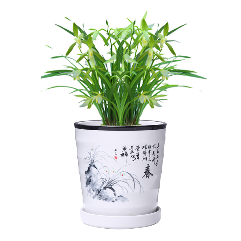 陶瓷一组四个室内阳台多肉花盆