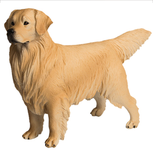 仿真动物模型家庭摆件金毛犬寻回犬宠物狗塑胶实心玩具男女孩礼物