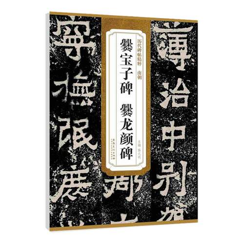 正版历代碑帖精粹南朝爨宝子碑爨龙颜碑简体旁注附技法解析第三辑碑帖毛笔隶书书法练字帖安徽美术出版社