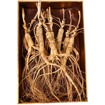 长白山林下参林下参干参