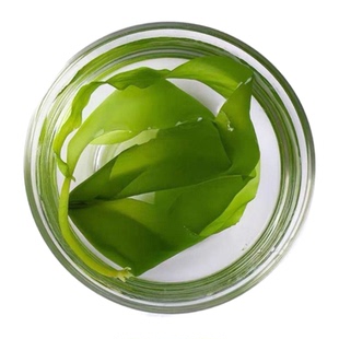 福建霞浦特产海带苗嫩特级菜盐渍嫩苗火锅食材商用压缩干货即食