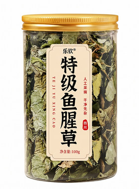 特优级鱼腥草中药材嫩芽