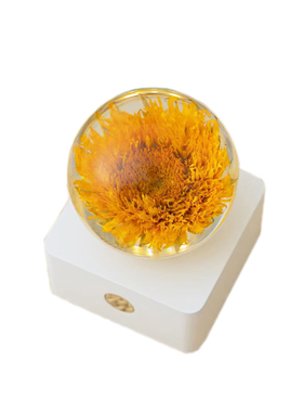 黑种草树脂小夜灯简约现代卧室