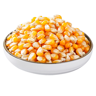 球形爆米花专用玉米粒5斤电影院原材料爆裂苞米新货家商用自己爆