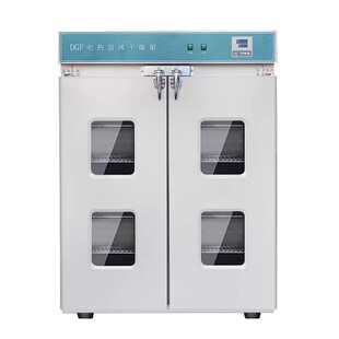 恩谊电热恒温鼓风干燥箱实验室高温烘干箱工业小型试验烤箱烘干机