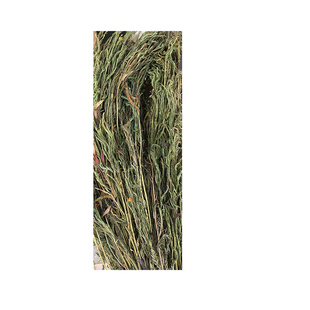 天然野生半枝莲中药材新鲜干货草药500克包邮另售铁树叶白花蛇草