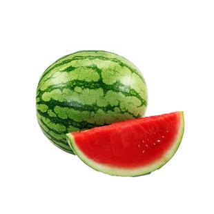 巨型西瓜种子 特大懒汉西瓜种子 高糖礼品西瓜四季水果种子超甜