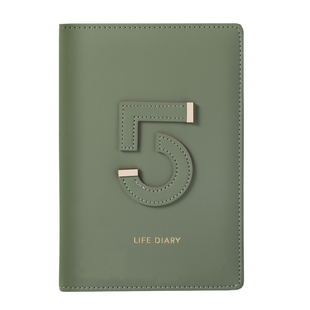 卡杰新款五年日记本2026年每日自填式日程本日历计划本子高颜值笔记本记事本随身打卡本手帐记录本可定制logo