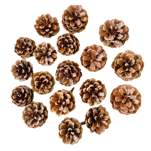 包邮100个松果装饰手工制作松果松球圣诞松果干花拍摄道具diy材料