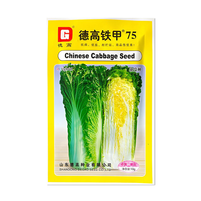 德高铁甲75白菜种子直筒青麻叶