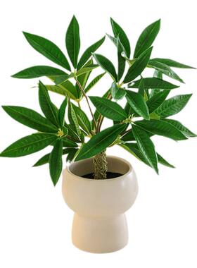 仿真绿植室内盆栽装饰摆件