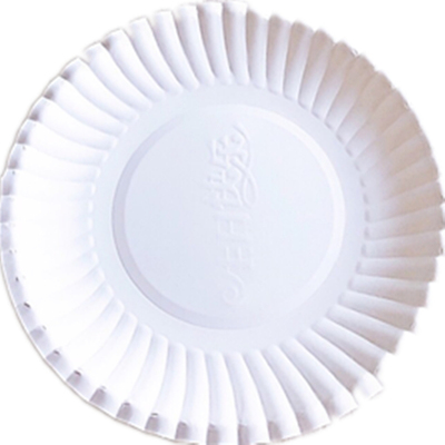 diy一次性手工画字长方形纸盘子