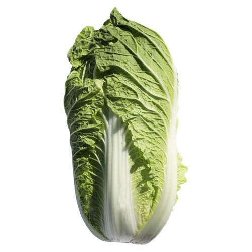 正宗山东胶州大白菜种子种籽孑子菜种冬季籽种适合冬天种的蔬菜