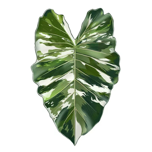 植物魔法】热带珍稀植物 创意绿植冰箱贴绿植装饰植物系列冰箱贴