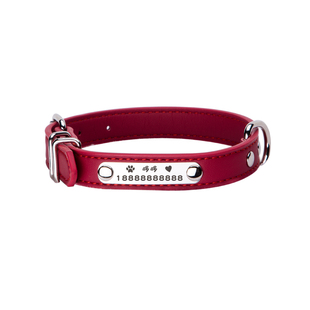 宠物可定制猫牌小狗牌定制防丢项圈刻字狗狗牵引绳系绳索引项链咪