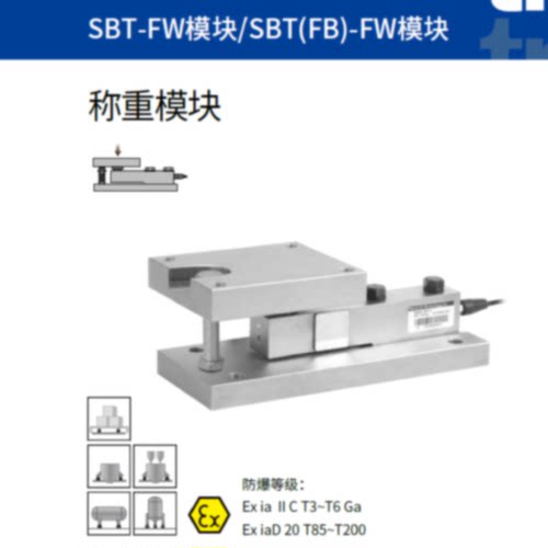 议价美国传力 SBT-FW模块-10000kg/15000kg/20000kg/10t/15t/20t