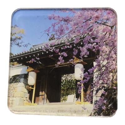 diy自制高透明亚克力冰箱贴照片