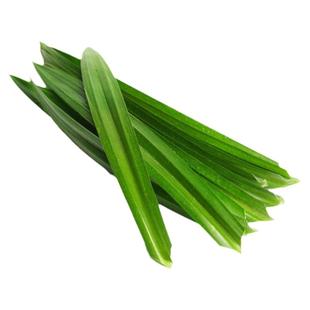 斑斓叶新鲜香兰叶可食用烘焙千层蛋糕芒果糯米饭调味糕点食材原料