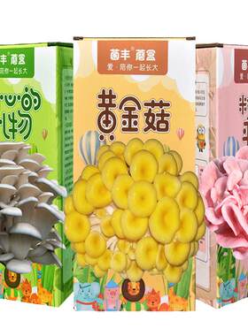 家庭简单好吃好养在家种植