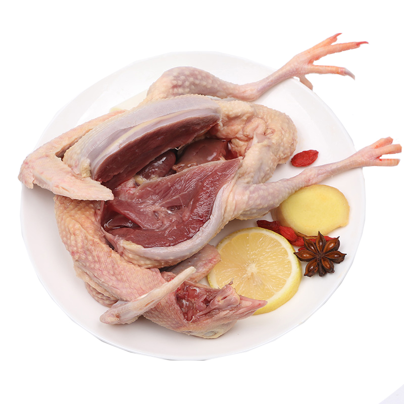 5年老鸽子新鲜现杀杂粮土鸽子肉炖汤老鸽肉煲汤的鸽子农家散养3只