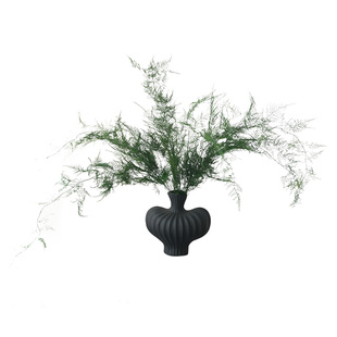 天然文竹干花花束客厅摆设永生花高级感真花中式插花装饰拍照道具