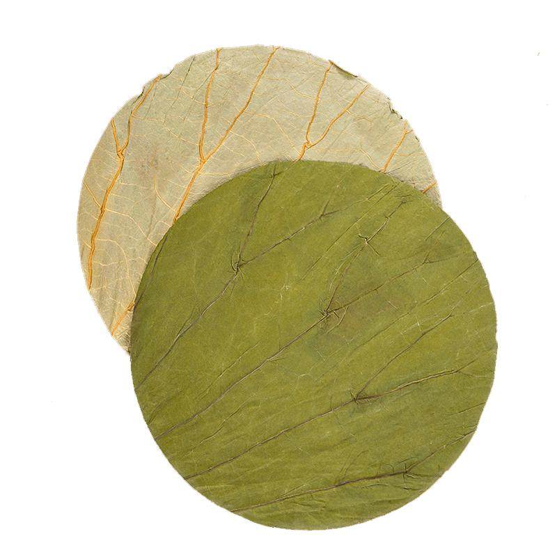 荷叶整张50张22cm正品山东微山湖