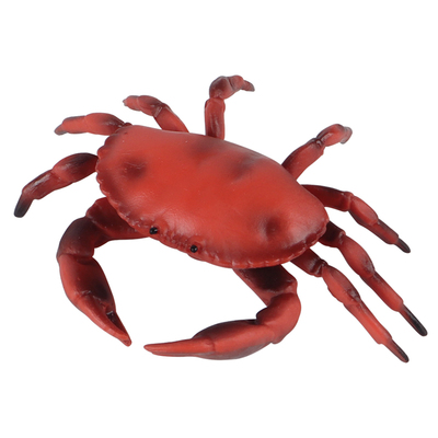 林畅模玩黄道蟹模型仿真动物