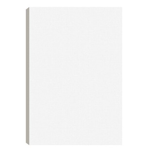 加厚600g布纹卡纸4k油画纸8k美术生专用丙烯画纸2K大尺寸丙烯水粉颜料绘画纸16k布纹纸4开画画硬卡纸水粉画纸