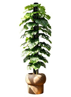 仿真绿植高端轻奢龟背竹仿真树仿生龟背叶假植物装饰摆件室内盆栽