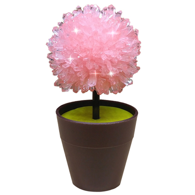 水晶种植生长科学小实验套装儿童