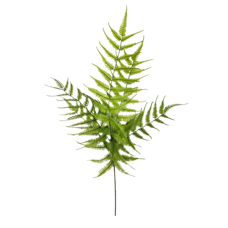 新款大把束仿真绿植 地面摆放装饰热带雨林植物凤尾蕨 波斯草蕨叶
