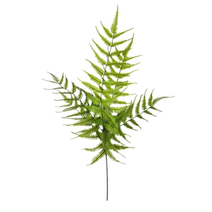 新款大把束仿真绿植 地面摆放装饰热带雨林植物凤尾蕨 波斯草蕨叶