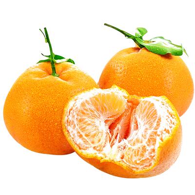 正宗四川春见耙耙柑丨爆甜大果!