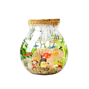 生态瓶观赏小鱼diy微景观免换水造景材料活动礼物水草斑马小鱼缸