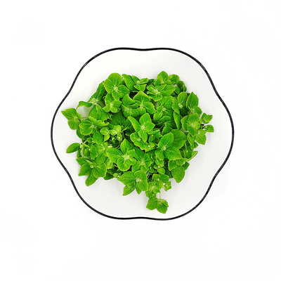 酒店西餐摆盘烘焙装饰点缀