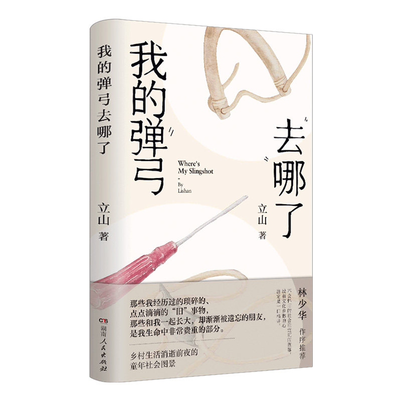 【正版】我的弹弓去哪了 立山著10种童年流行玩具带你重温乡村生活消逝前夜的童年记忆和社会图景湖南人民出版社
