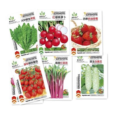 蔬菜种子四季播阳台农家盆栽