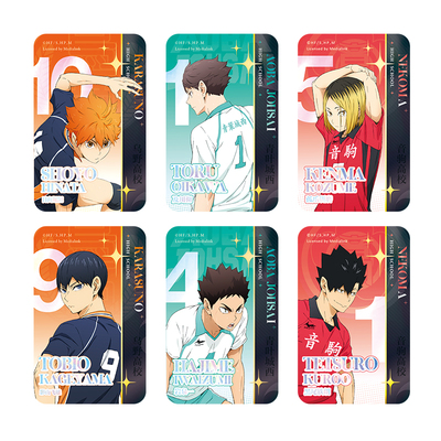 排球少年伙伴双闪镭射徽章