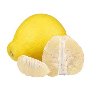 正宗广西容县沙田柚子新鲜水果白肉纯甜当季现摘蜜柚金柚