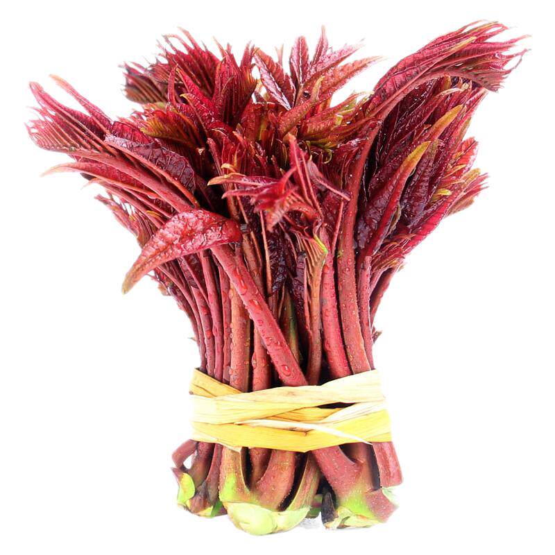 四川露天香椿芽新鲜红油头茬野生现摘春芽当季时令蔬菜3斤装顺丰