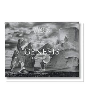 【预售】塞巴斯蒂昂·萨尔加多:创世纪明信片套装英文明信片进口原版书盒装【Postcard Set】Sebastiao Salgado. GENESIS. TASCH