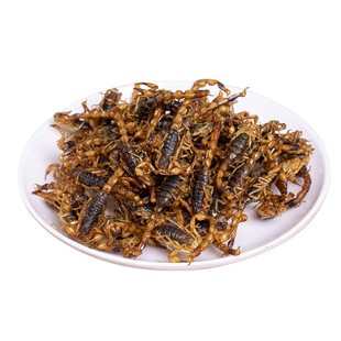 油炸蝎子活体食用蝎子沂蒙小吃食用全蝎拍下后默认同意现炸现发