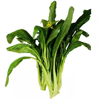 多多油菜苔耐热高产蔬菜