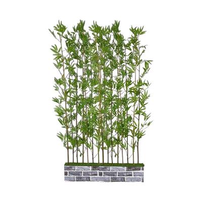 仿真加密竹子室内装饰假竹子隔断屏风挡墙造景室外装饰竹盆栽绿植