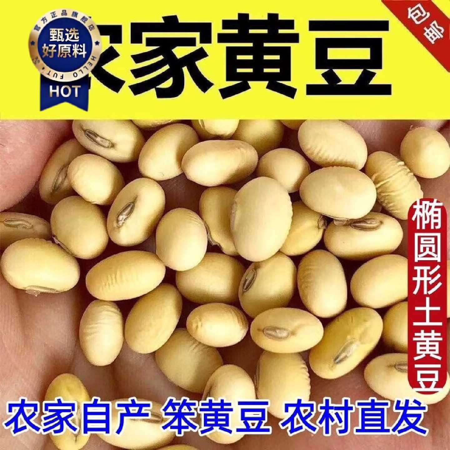 新椭圆形黄豆农家大豆自种老品种做豆腐打豆浆净重批发价一穗一荣