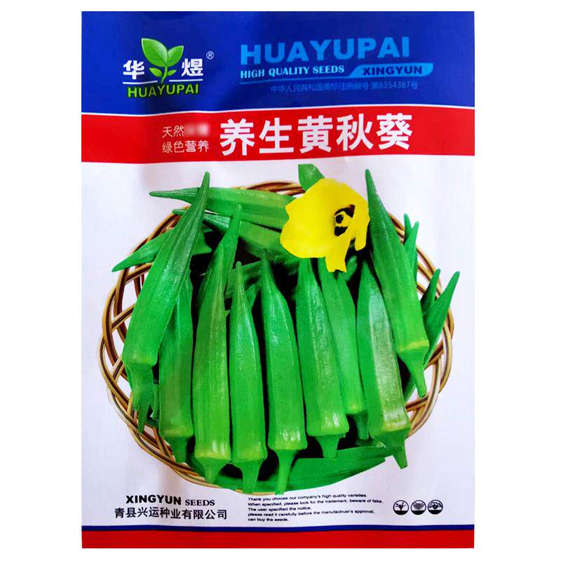 养生黄秋葵种子苗高产羊角豆春季盆栽阳台庭院农家作物蔬菜种籽孑